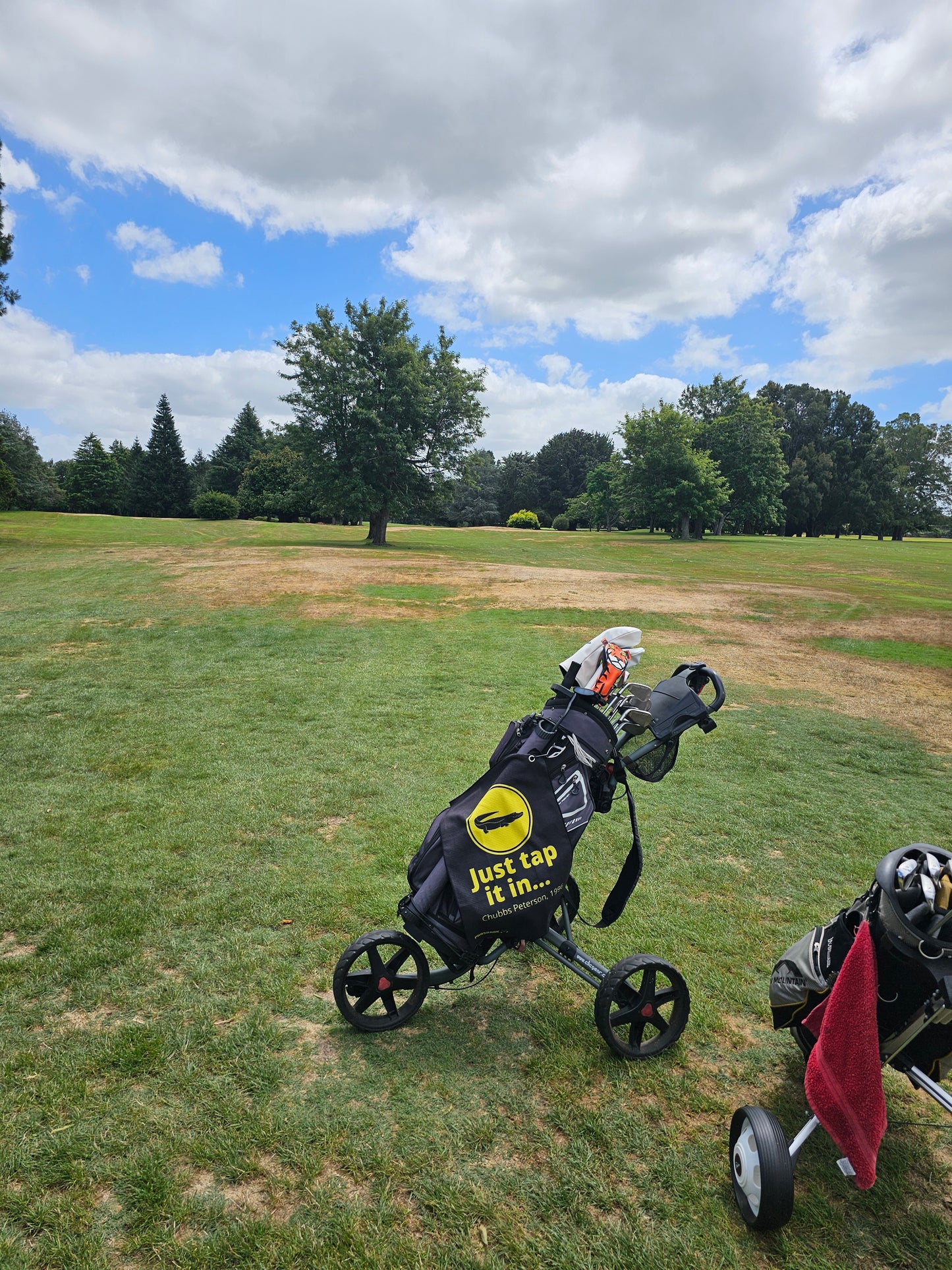 ParShark Golf Towel Tap It In